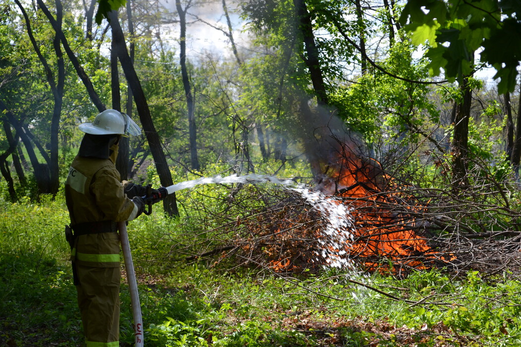 6 мая пройдет тренировка с КЧСиОПБ по теме: «Действия КЧСиПБ в случае пожара на территории, граничащей с лесными массивами»