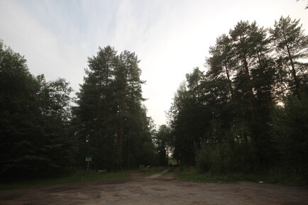 Ленинградская область сохраняет свои леса