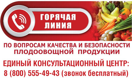 В России стартовала "горячая линия" по вопросам качества и безопасности плодоовощной продукции и срокам годности