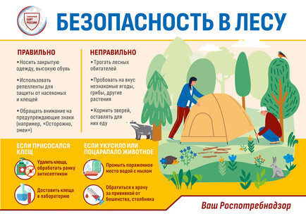 Роспотребнадзор напоминает о правилах профилактики клещевого боррелиоза