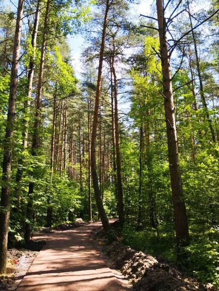 Новое место для отдыха 🌳